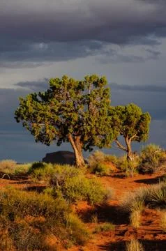 Monument Valley at Sunset Stock Photos