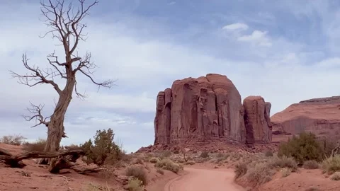 Monument Valley – Weathered Dead Tree Framing Iconic Red Rock Formations Stock Footage 309050018