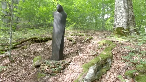 A monument in the woods Stock Footage 139887743