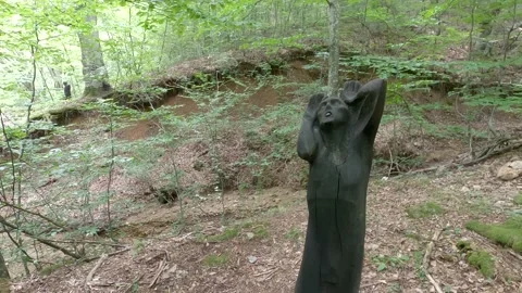 A monument in the woods Stock Footage 139887827