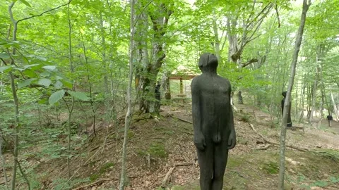 A monument in the woods Stock Footage 139887918