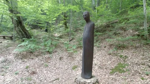 A monument in the woods Stock Footage 139888240