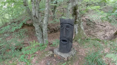 A monument in the woods Stock Footage 139930210