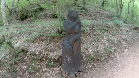 A monument in the woods Stock Footage 139930828