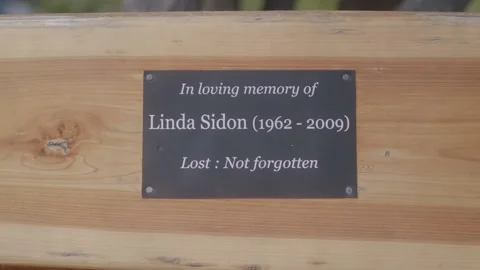 Monumental bench Stock Footage 237559693