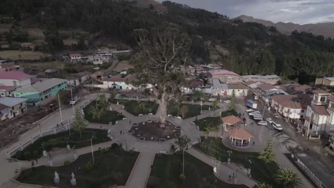 THE MONUMENTAL TREE OF PERU Stock Footage 248395718