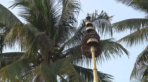Monuments in  Wat Si Saket monastery, Vientiane, Laos Stock Footage 53983509