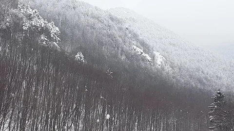 Monutain in snow 動画素材 87071673