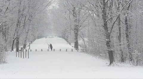 Monza Park, Parco e Villa Reale di Monza, snow landscape Vídeo Stock 50133394