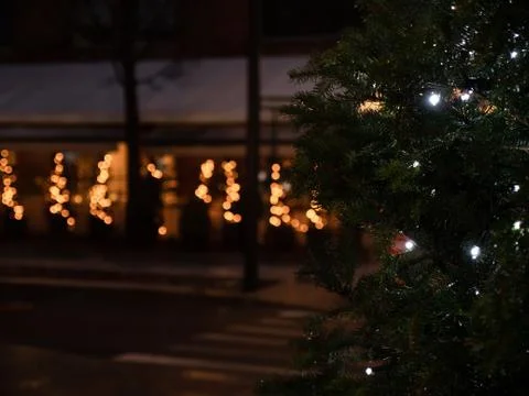 In the mood for Christmas Stock Photos