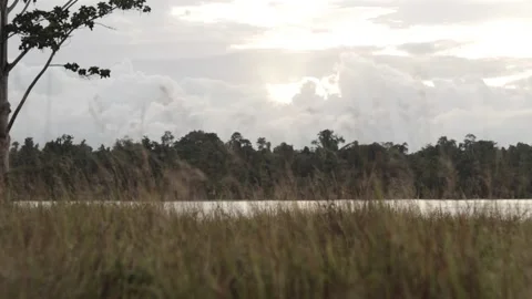 MOOD AT SUNSET Stock Footage 238584386