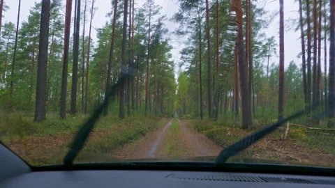 Moody, atmospheric scene from the driver’s perspective. Stock Footage 306876609