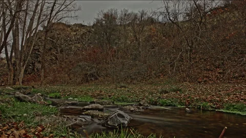 Moody Autumn Forest Stream Timelapse 4K ProRes Stock Footage 324230025