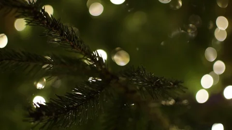 A moody close-up of a decorated Christmas tree branch 動画素材 101198495