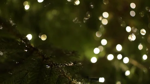 A moody close-up of a decorated Christmas tree branch 動画素材 101245289