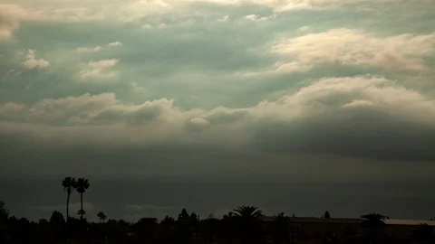 Moody Clouds over Palm Trees in Los Angeles 4K Timelapse Stock Footage 102519466