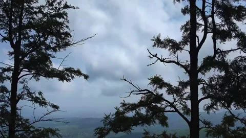 Moody Cloudy Sky Framed by Forest Trees Stock Footage 327722033