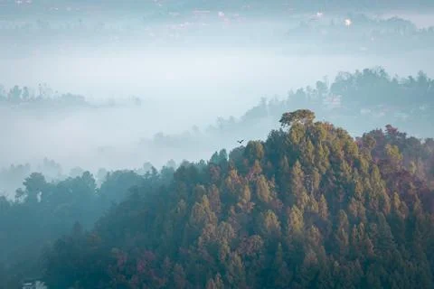 Moody Dramatic view of hills covered in fog Stock Photos