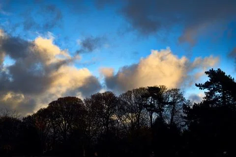 Moody evening sky over tree silhouette skyline Stock Photos