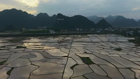 Moody Flooded Rice Patchwork Under Heavy Sky, Irregular Water Panels Reflect Stock Footage 344249384