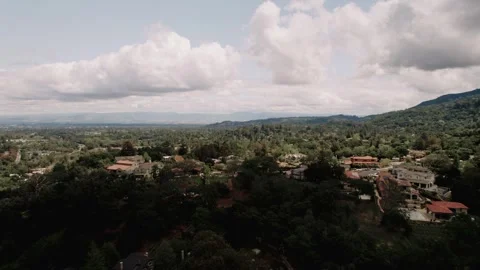 Moody Forest B-Roll Stock Footage 255346341