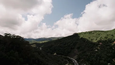 Moody Forest B-Roll Stock Footage 255346361