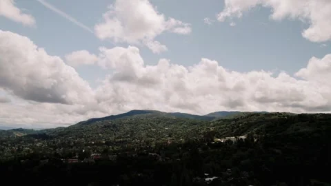 Moody Forest B-Roll Stock Footage 255346386