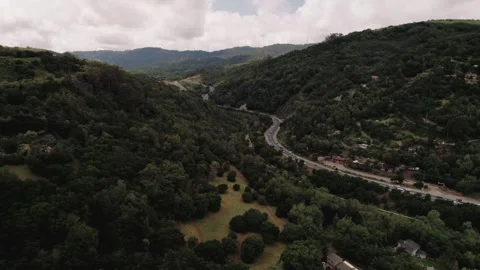 Moody Forest B-Roll Stock Footage 255346391