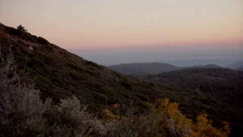 Moody Forest B-Roll Stock Footage 256396789