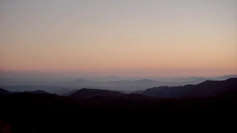 Moody Forest B-Roll Stock Footage 256396817