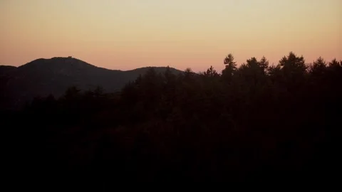 Moody Forest B-Roll Stock Footage 256396827