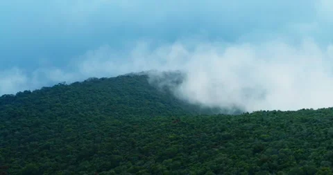 Moody Forest Ridge Under Soft Morning Light Stock Footage 329112258