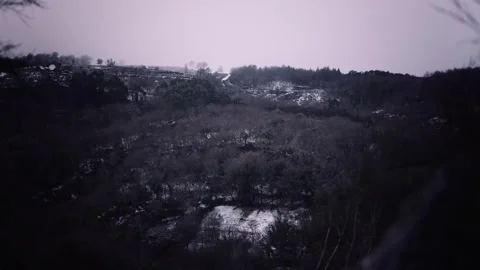 Moody Forest Valley with Snow Covered Ground Stock Footage 341690707
