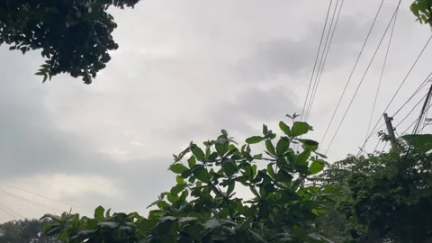 Moody Gray Storm Clouds Above Green Foliage and Utility Infrastructure. Stock Footage 345069677