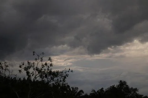 A moody image of dark storm clouds gathering above silhouetted trees. The sky Stock Photos