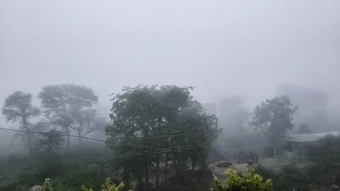 Moody landscape with trees covered in thick winter fog and mist Stock Footage 326021540