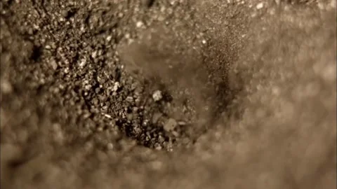 Moody Macro of Antlion Pit Trap, Dark Shadow Earth Environment, 4K Stock Footage 340301985