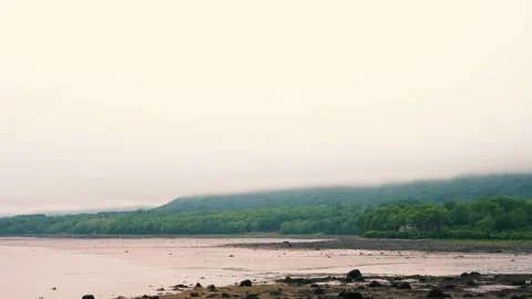 Moody Misty Landscape Stock Footage 155753660