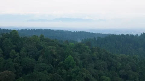 Moody mountain forest landscape with mist and cinematic wilderness mood Видео 334909252
