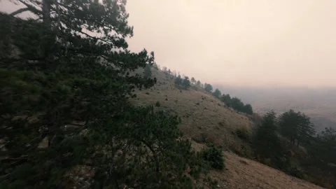 Moody mountain slope with pine trees in heavy fog, cinematic aerial view Stock Footage 328419061
