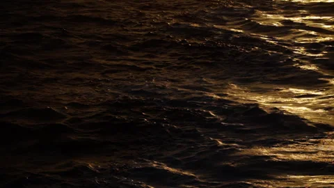 Moody ocean surface with waves illuminated by warm golden light, revealing Stock Footage 316778998