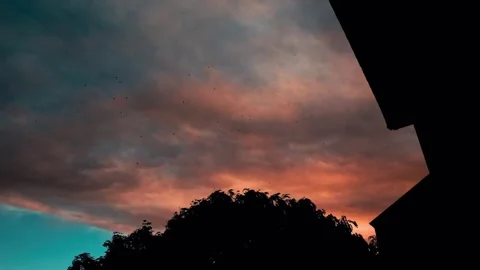 Moody orange clouds at sunset with birds flying above the treetops and rooftops Stock Footage 328203837