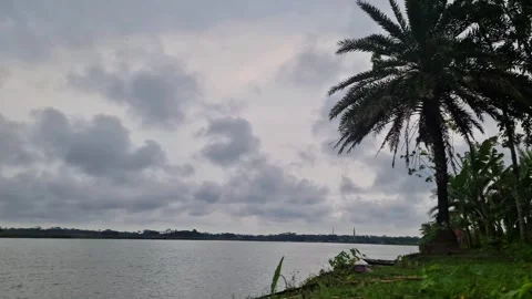 Moody overcast sky over calm river with swaying trees in monsoon Video stock 332503516