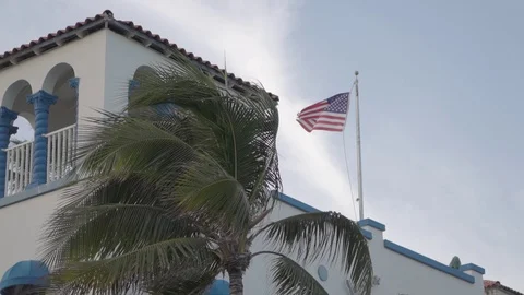 Moody Palm Tree Waves In Breeze Below Waning Blue Sky, Miami Florida Stock Footage 110574247