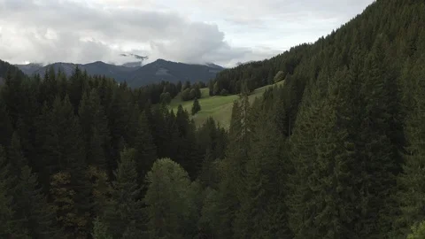 Moody Pine - DJI Mavic Pro 2 - 4K - 23.98 fps - Megeve, FRA Stock Footage 122334779