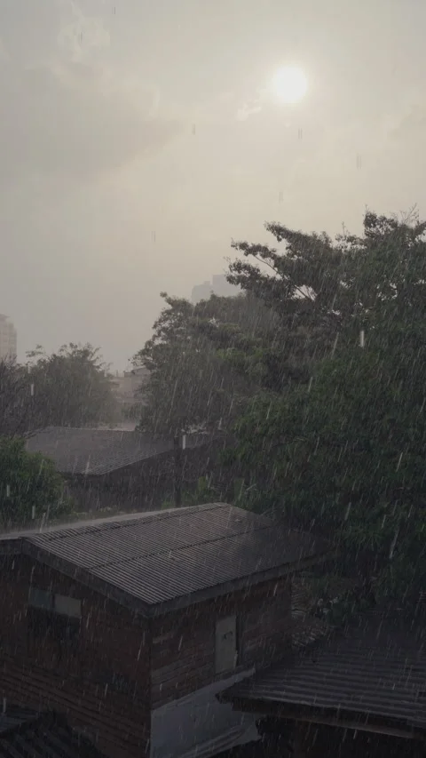 Moody Rain Falling on Rustic Wooden Houses and Large Tree with Hazy Visibility Stock Footage 332165023