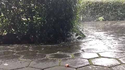 Moody Rainfall Slow Motion Background for Cinematic Scenes Stock Footage 328010393