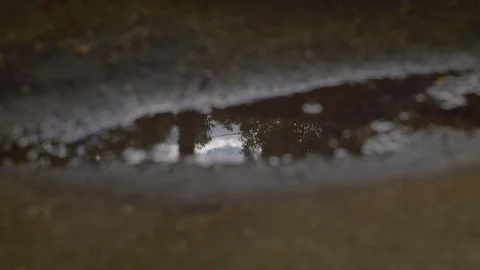 Moody reflection of a tree in a puddle Video stock 119352807