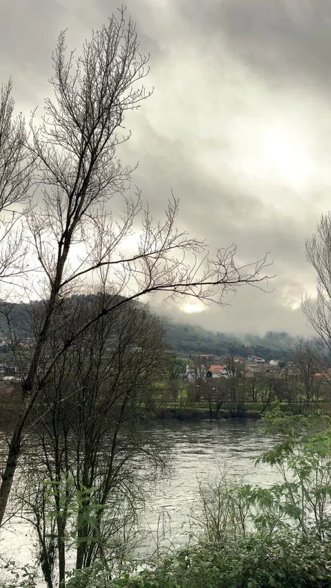 Moody River Landscape with Bare Trees and Cloudy Sky Stock Footage 276345847