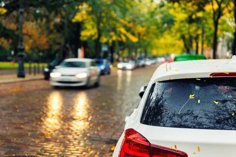 Moody scenic back tail light view modern white car windshield covered golden  写真素材